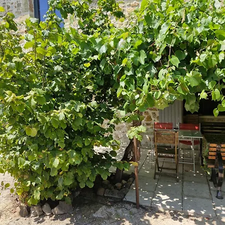 Grand Mas Provencal 3 Et 1 Dortoir 7 Pers, Ideal Familles Groupes, Fraicheur D'ete * Montfaucon (Gard)